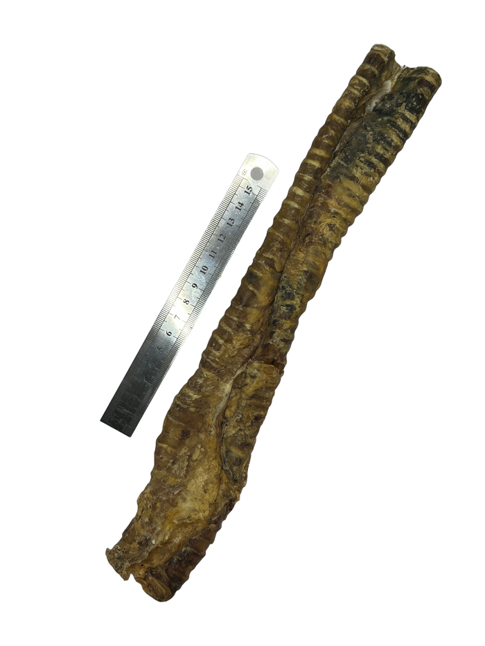 Beef Trachea