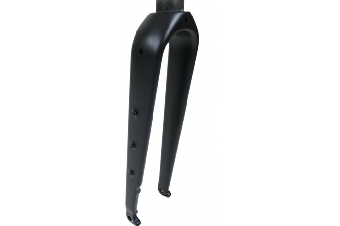 Carbon Fork