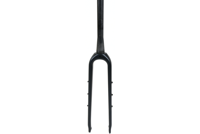 Carbon Fork