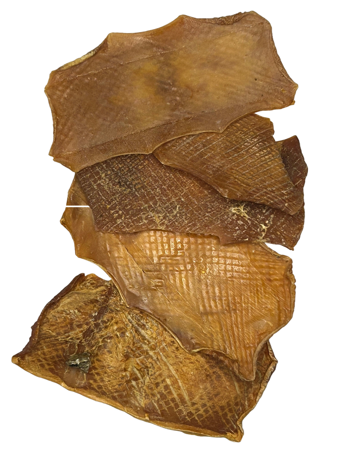 Squid Chews